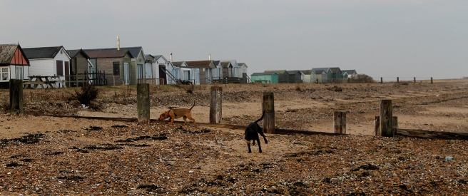 dogs-and-huts